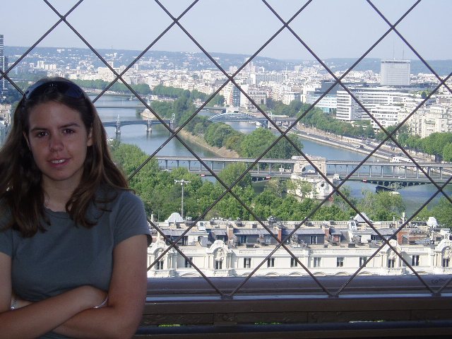 Paris har mange broer over Seinen. De fire synlige er Pont Mirabeau, Pont de Grenelle, en unavngivet (?) buet jernbanebro og Pont de Bir-Hakeim